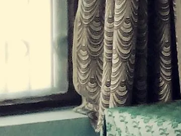Om Guest House Varanasi India